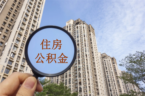 营口14年公积金多少钱（营口14年公积金利率是多少）